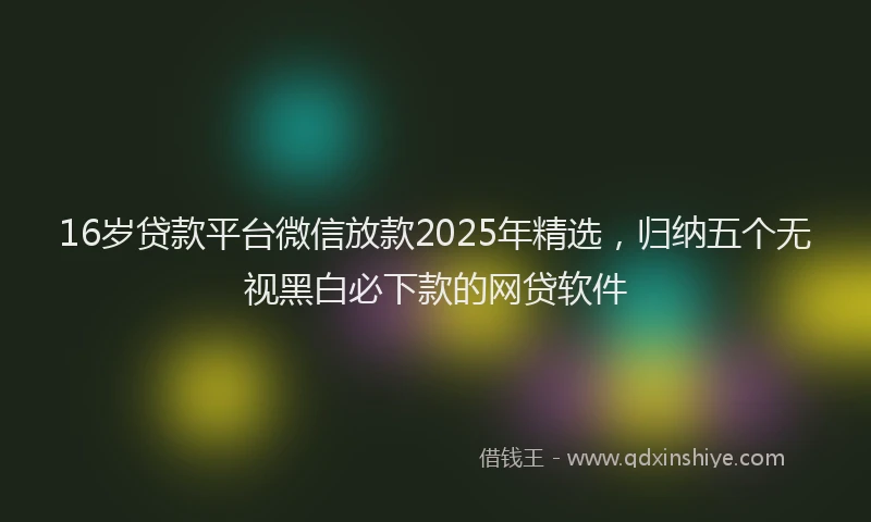 16岁贷款平台微信放款2025年精选，归纳五个无视黑白必下款的网贷软件