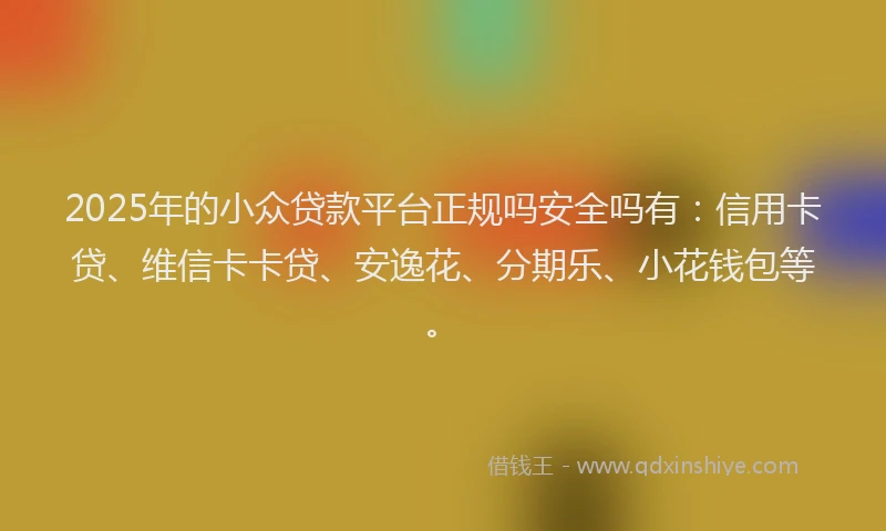 2025年的小众贷款平台正规吗安全吗有：信用卡贷、维信卡卡贷、安逸花、分期乐、小花钱包等。