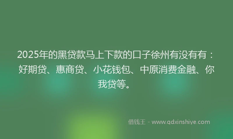 2025年的黑贷款马上下款的口子徐州有没有有：好期贷、惠商贷、小花钱包、中原消费金融、你我贷等。