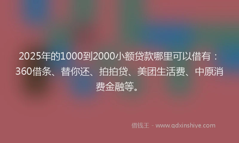 2025年的1000到2000小额贷款哪里可以借有：360借条、替你还、拍拍贷、美团生活费、中原消费金融等。