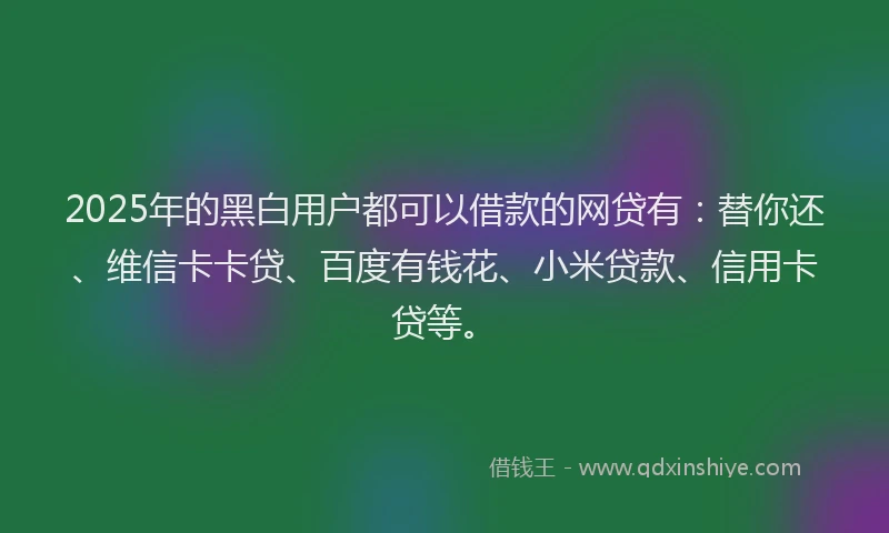 2025年的黑白用户都可以借款的网贷有：替你还、维信卡卡贷、百度有钱花、小米贷款、信用卡贷等。