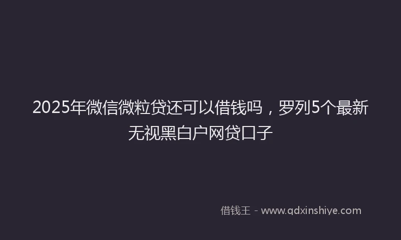 2025年微信微粒贷还可以借钱吗，罗列5个最新无视黑白户网贷口子