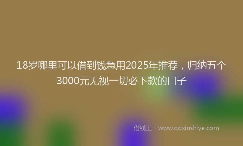 18岁哪里可以借到钱急用2025年推荐，归纳五个3000元无视一切必下款的口子