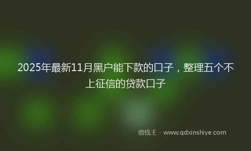 2025年最新11月黑户能下款的口子，整理五个不上征信的贷款口子