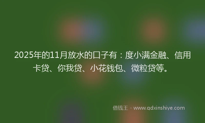 2025年的11月放水的口子有：度小满金融、信用卡贷、你我贷、小花钱包、微粒贷等。