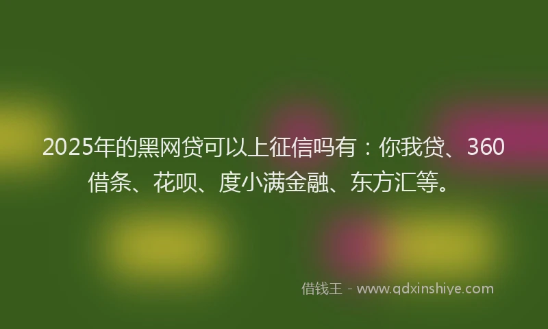 2025年的黑网贷可以上征信吗有：你我贷、360借条、花呗、度小满金融、东方汇等。