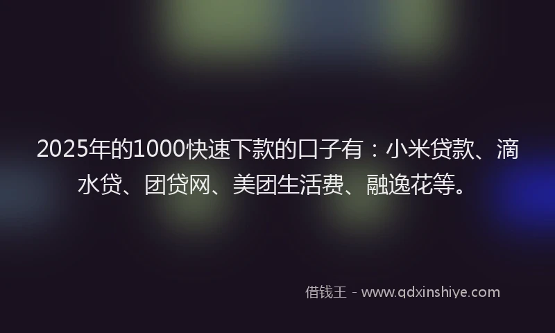 2025年的1000快速下款的口子有：小米贷款、滴水贷、团贷网、美团生活费、融逸花等。
