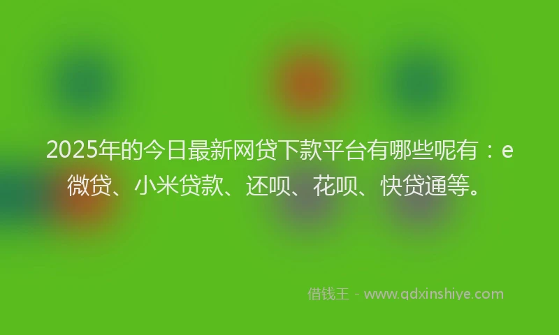 2025年的今日最新网贷下款平台有哪些呢有：e微贷、小米贷款、还呗、花呗、快贷通等。
