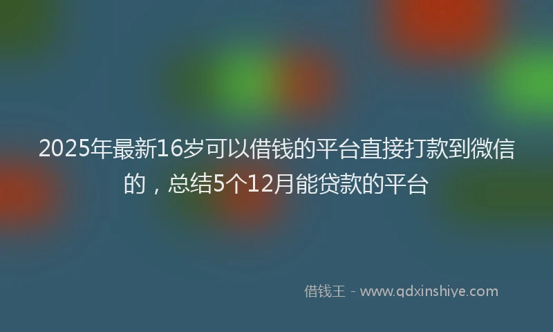 2025年最新16岁可以借钱的平台直接打款到微信的，总结5个12月能贷款的平台