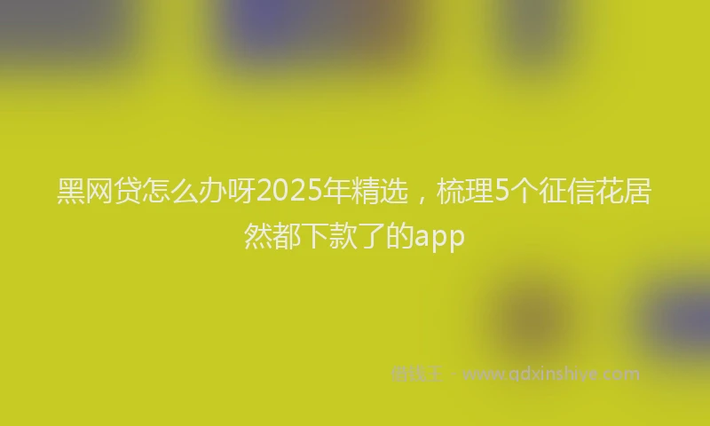 黑网贷怎么办呀2025年精选，梳理5个征信花居然都下款了的app