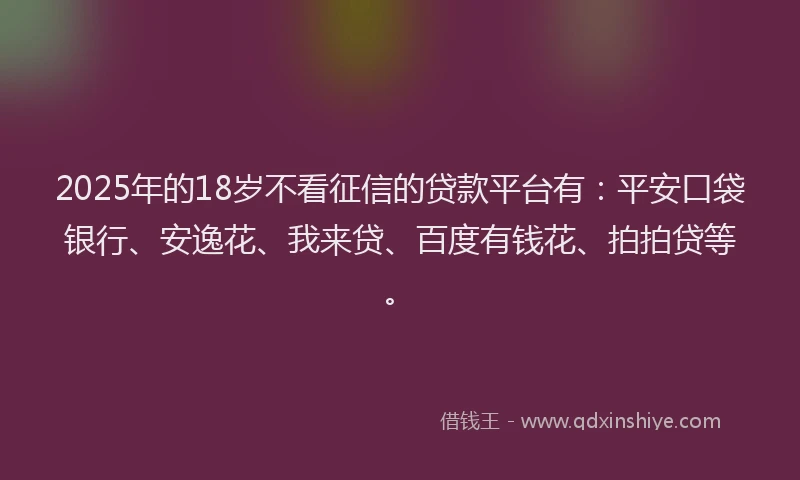 2025年的18岁不看征信的贷款平台有：平安口袋银行、安逸花、我来贷、百度有钱花、拍拍贷等。