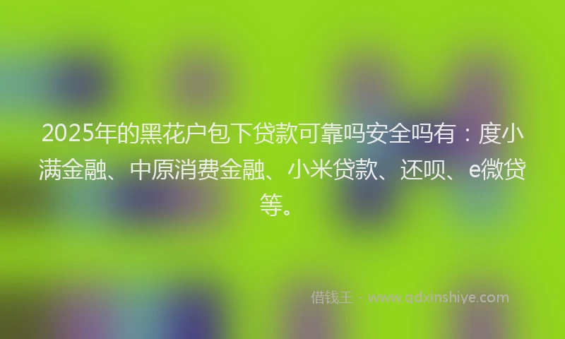 2025年的黑花户包下贷款可靠吗安全吗有：度小满金融、中原消费金融、小米贷款、还呗、e微贷等。