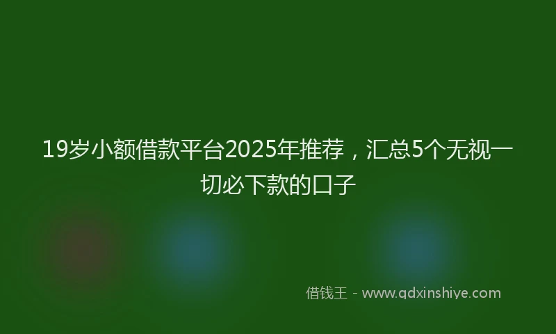 19岁小额借款平台2025年推荐，汇总5个无视一切必下款的口子