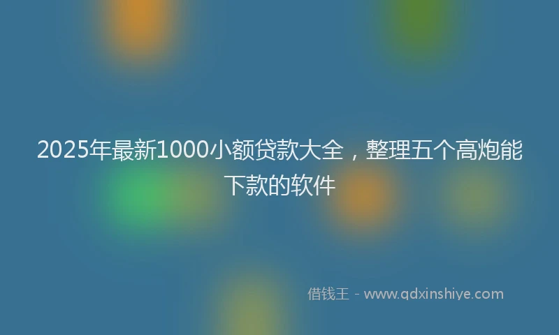 2025年最新1000小额贷款大全，整理五个高炮能下款的软件