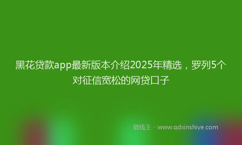 黑花贷款app最新版本介绍2025年精选，罗列5个对征信宽松的网贷口子