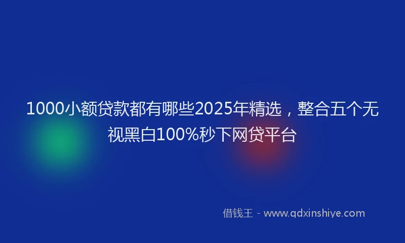 1000小额贷款都有哪些2025年精选，整合五个无视黑白100%秒下网贷平台