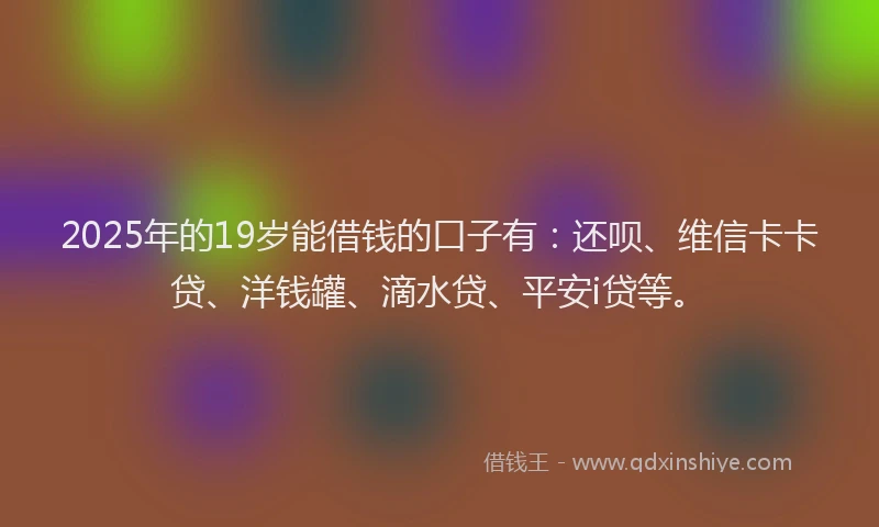 2025年的19岁能借钱的口子有：还呗、维信卡卡贷、洋钱罐、滴水贷、平安i贷等。