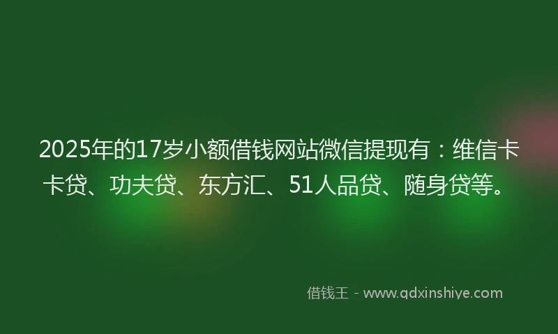 2025年的17岁小额借钱网站微信提现有：维信卡卡贷、功夫贷、东方汇、51人品贷、随身贷等。