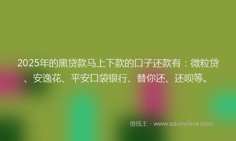 2025年的黑贷款马上下款的口子还款有：微粒贷、安逸花、平安口袋银行、替你还、还呗等。