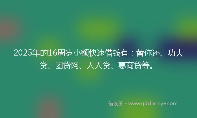 2025年的16周岁小额快速借钱有：替你还、功夫贷、团贷网、人人贷、惠商贷等。