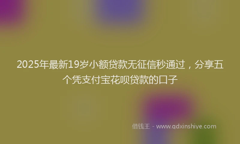 2025年最新19岁小额贷款无征信秒通过，分享五个凭支付宝花呗贷款的口子