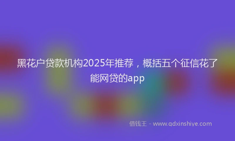 黑花户贷款机构2025年推荐，概括五个征信花了能网贷的app
