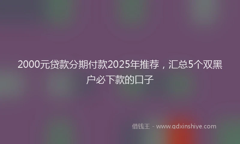 2000元贷款分期付款2025年推荐，汇总5个双黑户必下款的口子
