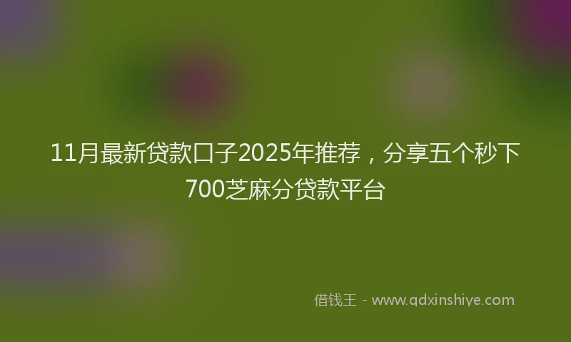 11月最新贷款口子2025年推荐，分享五个秒下700芝麻分贷款平台