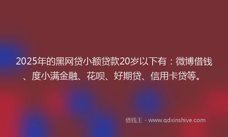 2025年的黑网贷小额贷款20岁以下有：微博借钱、度小满金融、花呗、好期贷、信用卡贷等。
