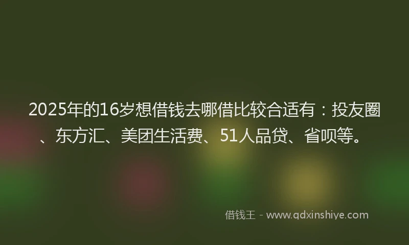 2025年的16岁想借钱去哪借比较合适有：投友圈、东方汇、美团生活费、51人品贷、省呗等。