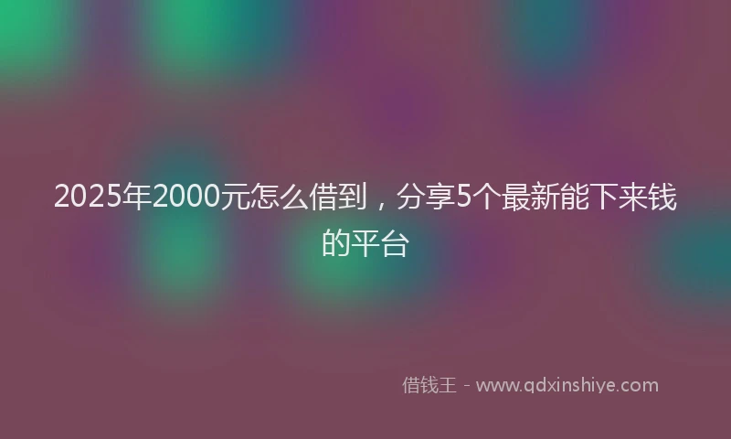 2025年2000元怎么借到，分享5个最新能下来钱的平台
