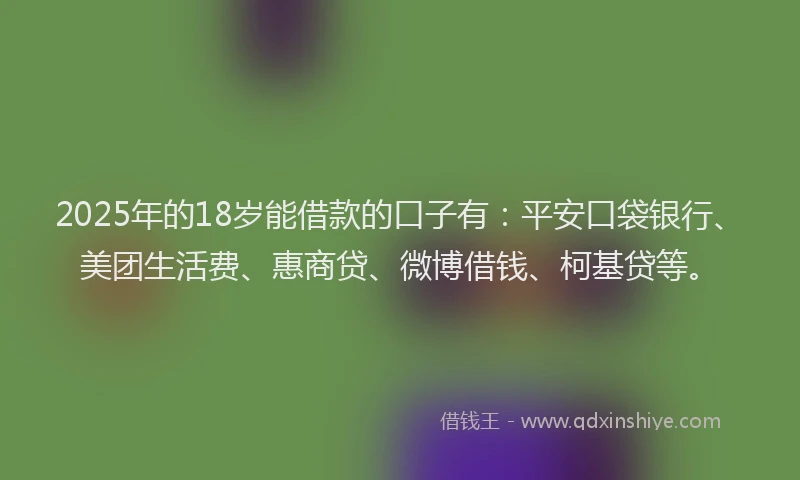 2025年的18岁能借款的口子有：平安口袋银行、美团生活费、惠商贷、微博借钱、柯基贷等。