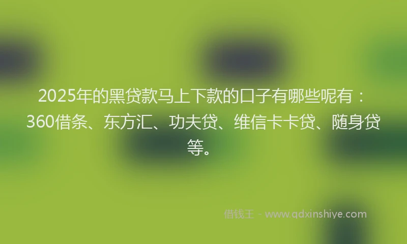 2025年的黑贷款马上下款的口子有哪些呢有：360借条、东方汇、功夫贷、维信卡卡贷、随身贷等。