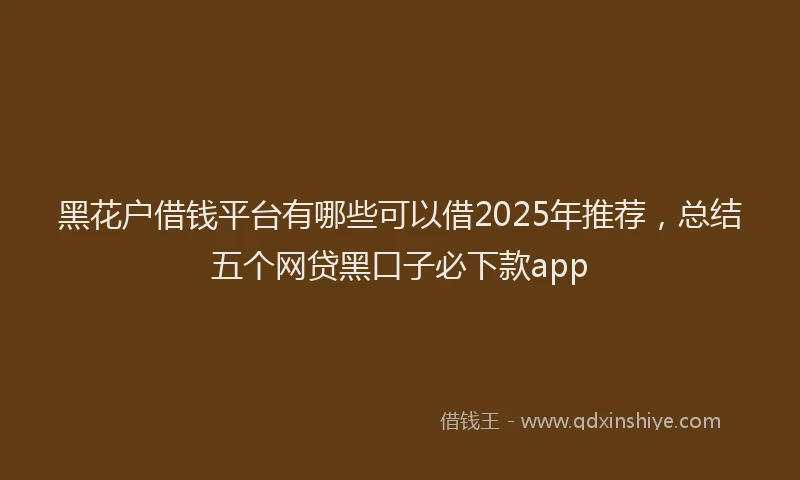 黑花户借钱平台有哪些可以借2025年推荐，总结五个网贷黑口子必下款app