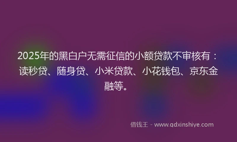 2025年的黑白户无需征信的小额贷款不审核有：读秒贷、随身贷、小米贷款、小花钱包、京东金融等。