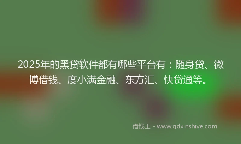 2025年的黑贷软件都有哪些平台有：随身贷、微博借钱、度小满金融、东方汇、快贷通等。