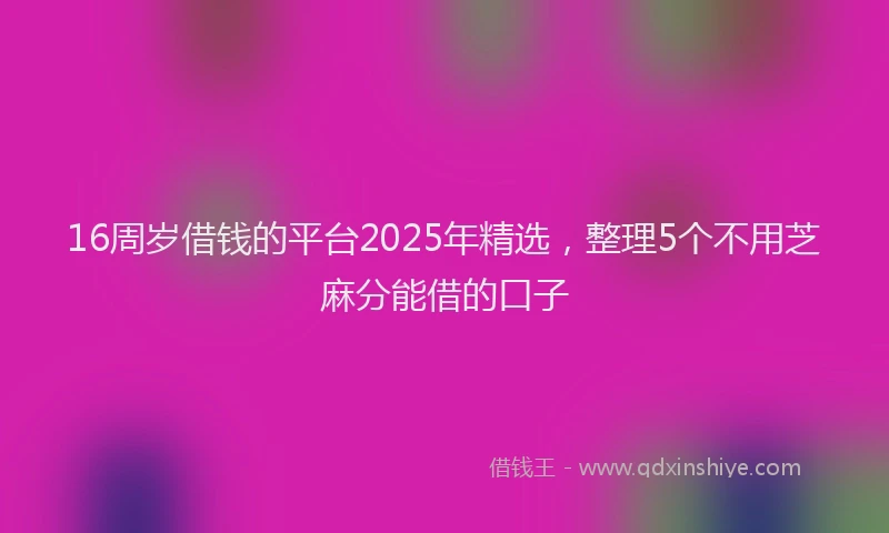 16周岁借钱的平台2025年精选，整理5个不用芝麻分能借的口子