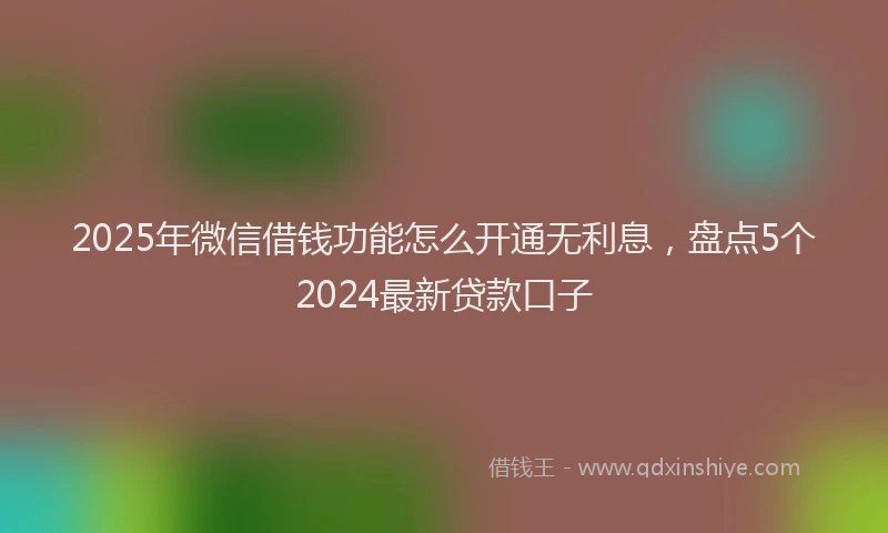 2025年微信借钱功能怎么开通无利息，盘点5个2024最新贷款口子