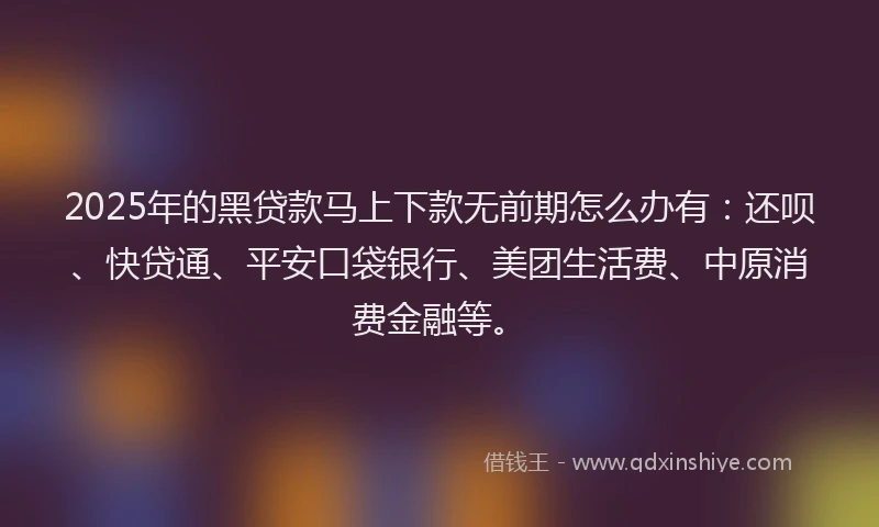 2025年的黑贷款马上下款无前期怎么办有：还呗、快贷通、平安口袋银行、美团生活费、中原消费金融等。