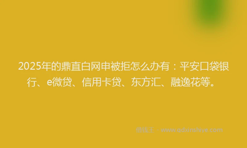 2025年的鼎直白网申被拒怎么办有：平安口袋银行、e微贷、信用卡贷、东方汇、融逸花等。