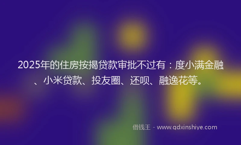2025年的住房按揭贷款审批不过有：度小满金融、小米贷款、投友圈、还呗、融逸花等。