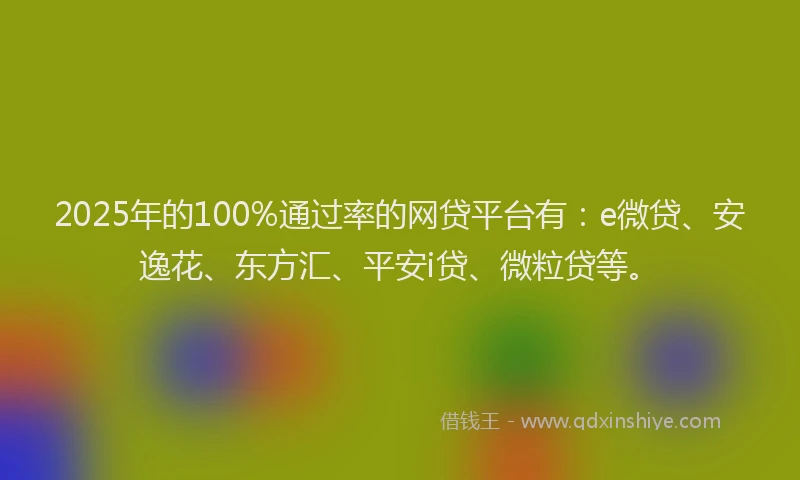 2025年的100%通过率的网贷平台有：e微贷、安逸花、东方汇、平安i贷、微粒贷等。