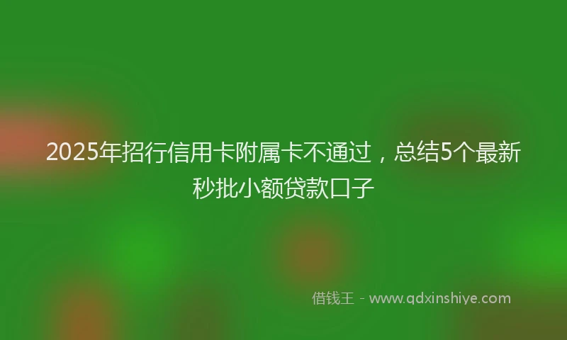 2025年招行信用卡附属卡不通过，总结5个最新秒批小额贷款口子