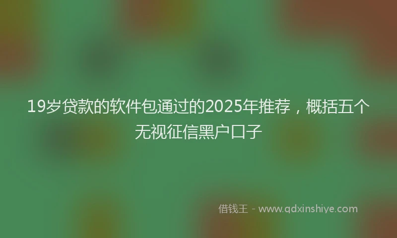 19岁贷款的软件包通过的2025年推荐，概括五个无视征信黑户口子