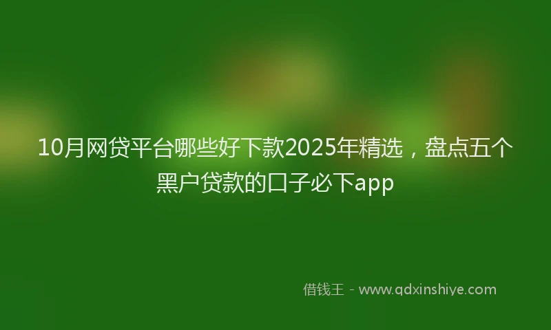 10月网贷平台哪些好下款2025年精选，盘点五个黑户贷款的口子必下app