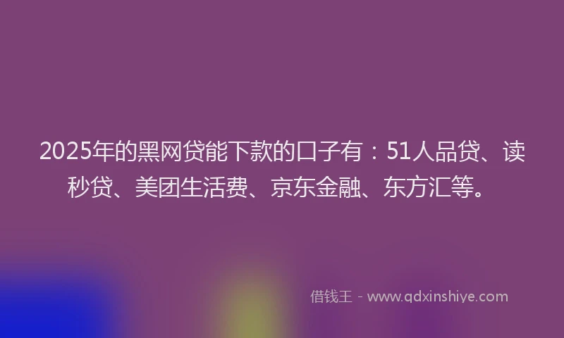 2025年的黑网贷能下款的口子有：51人品贷、读秒贷、美团生活费、京东金融、东方汇等。