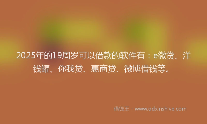 2025年的19周岁可以借款的软件有：e微贷、洋钱罐、你我贷、惠商贷、微博借钱等。