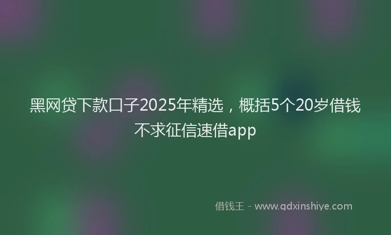 黑网贷下款口子2025年精选，概括5个20岁借钱不求征信速借app