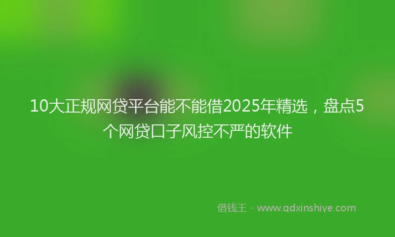 10大正规网贷平台能不能借2025年精选，盘点5个网贷口子风控不严的软件
