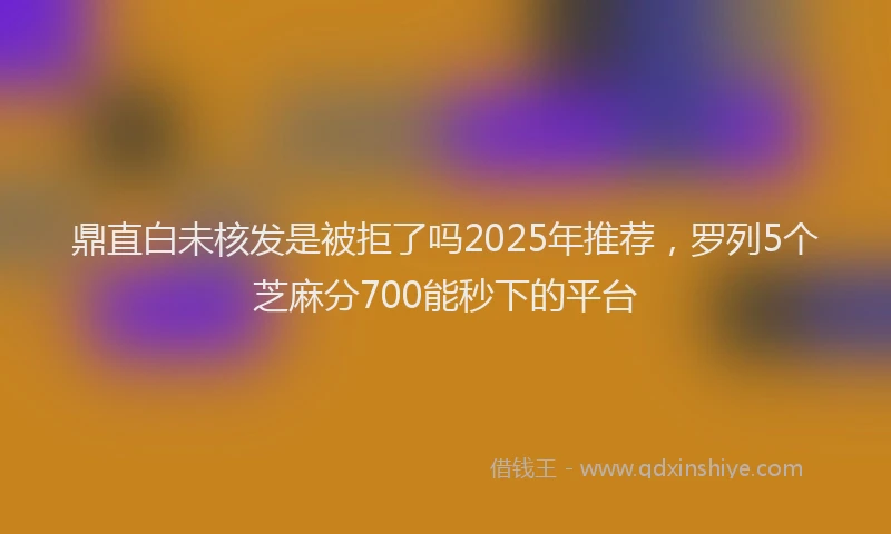 鼎直白未核发是被拒了吗2025年推荐，罗列5个芝麻分700能秒下的平台